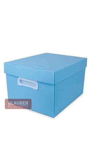 CAIXA ORG. 212X280X370MM M - THE BEST BOX