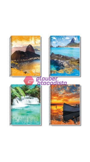 CADERNO ESPIRAL 1/4 CAPA DURA 200 FOLHAS PT/05
