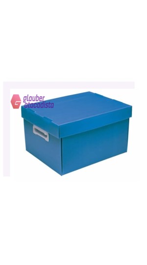 CAIXA ORG. 240X310X437MM G - THE BEST BOX