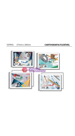 CADERNO DE DESENHO ESPIRAL MILIMETRADO CAPA FLEXÍVEL 48 FOLHAS PT/10