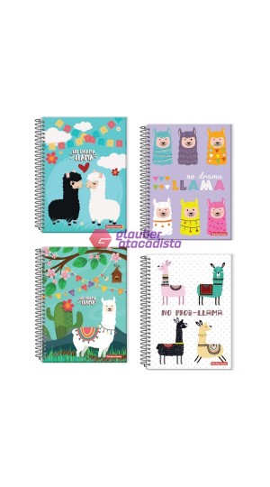 CADER. ESP. UNIV.CD.  1X1   96F PT/05 PAN