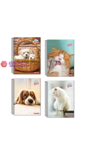 CADER. ESP. UNIV.CD.  1X1   96F PT/05 PAN