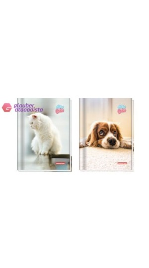 CADER. BROC.C.D.1/4 96FLS PT/05 PAN