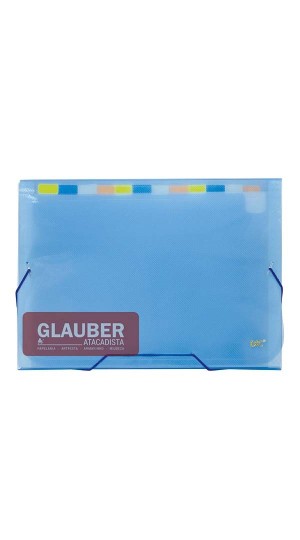 PASTA SANFONADA A4 12 DIVISÕES