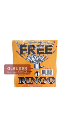 BLOCO BINGO-2 PT/15  JORNAL