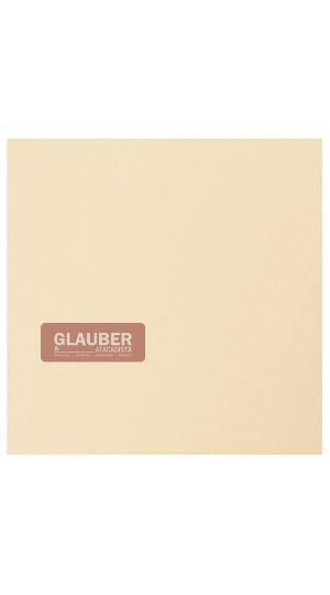 PLACA E.V.A LISO 40CM X 60CM PT/10