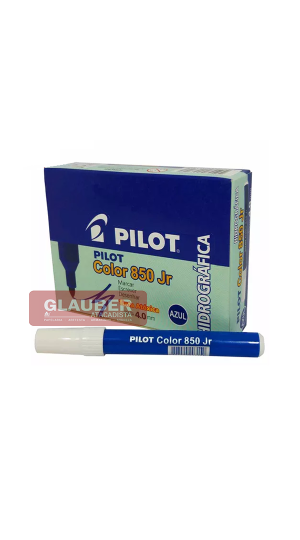 PINCEL HIDRO GROSSO COLOR 850JR CX/12 PILOT