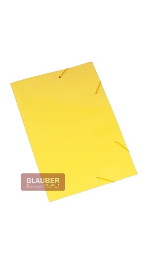 PASTA DE PAPELÃO COM ELÁSTICO PT/10