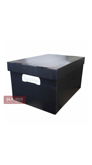 CAIXA ORG. 180X255X335MM P - THE BEST BOX