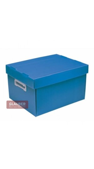 CAIXA ORG. 180X255X335MM P - THE BEST BOX
