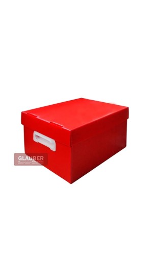 CAIXA ORG. 180X255X335MM P - THE BEST BOX