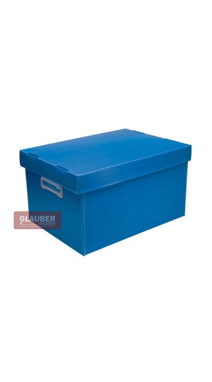 CAIXA ORG. 212X280X370MM M - THE BEST BOX