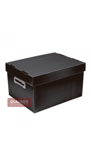 CAIXA ORG. 212X280X370MM M - THE BEST BOX