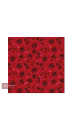 SACO METAL/PEROL. 25X 37  PT/050