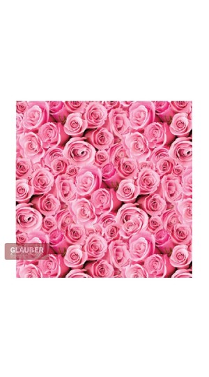 SACO METAL/PEROL. 25X 37  PT/050