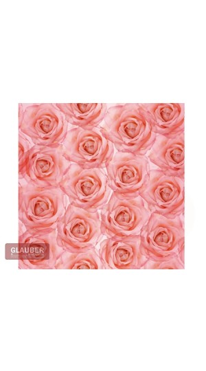 SACO METAL/PEROL. 50X 70 PT/025