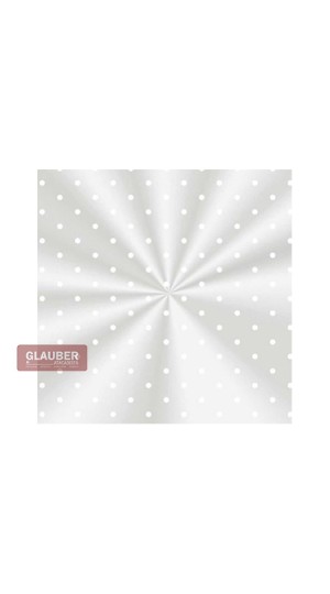 SACO PP.FANT.15X29 PT/50 CROMUS